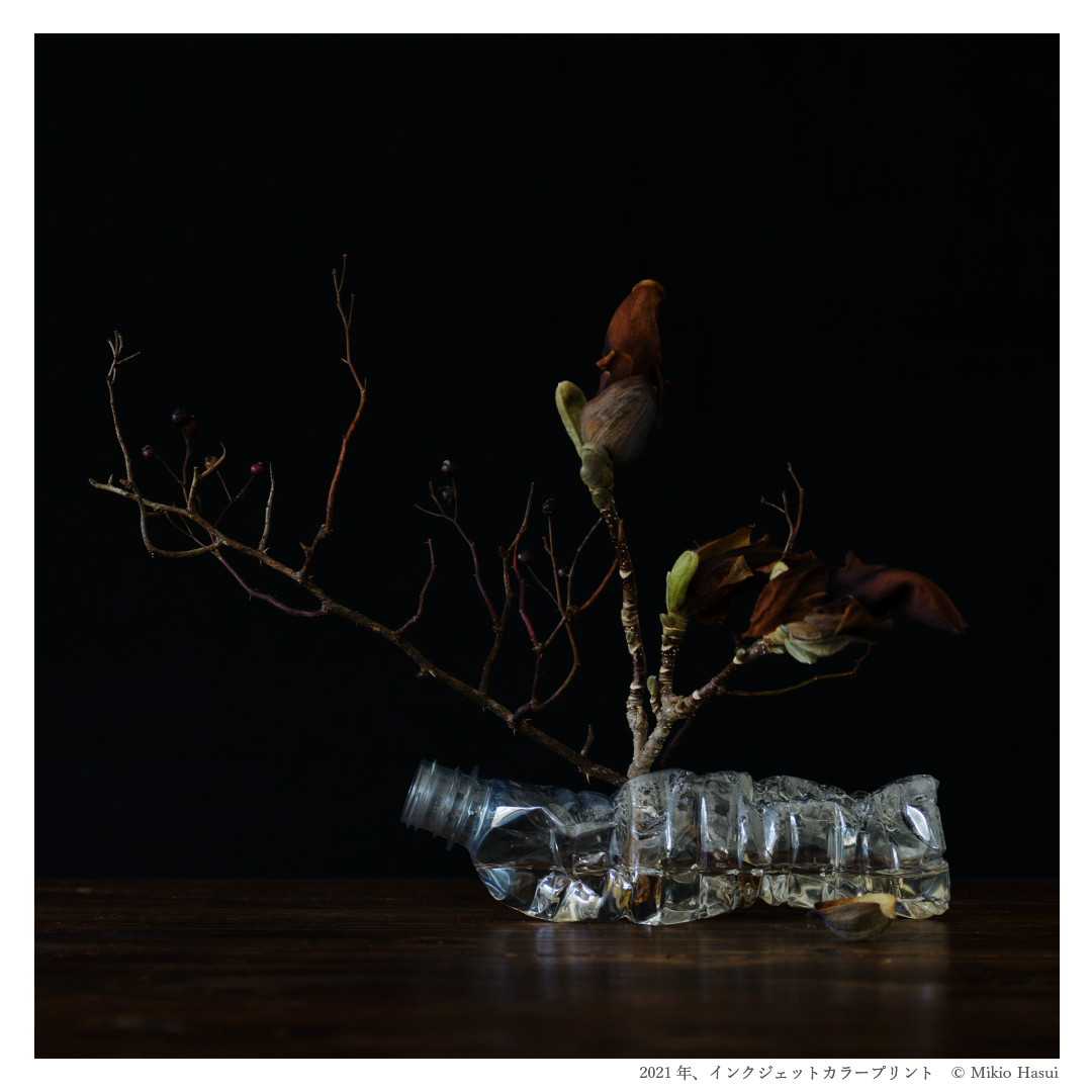 蓮井幹生 作品展「無常花」 – WHYNOT. TOKYO