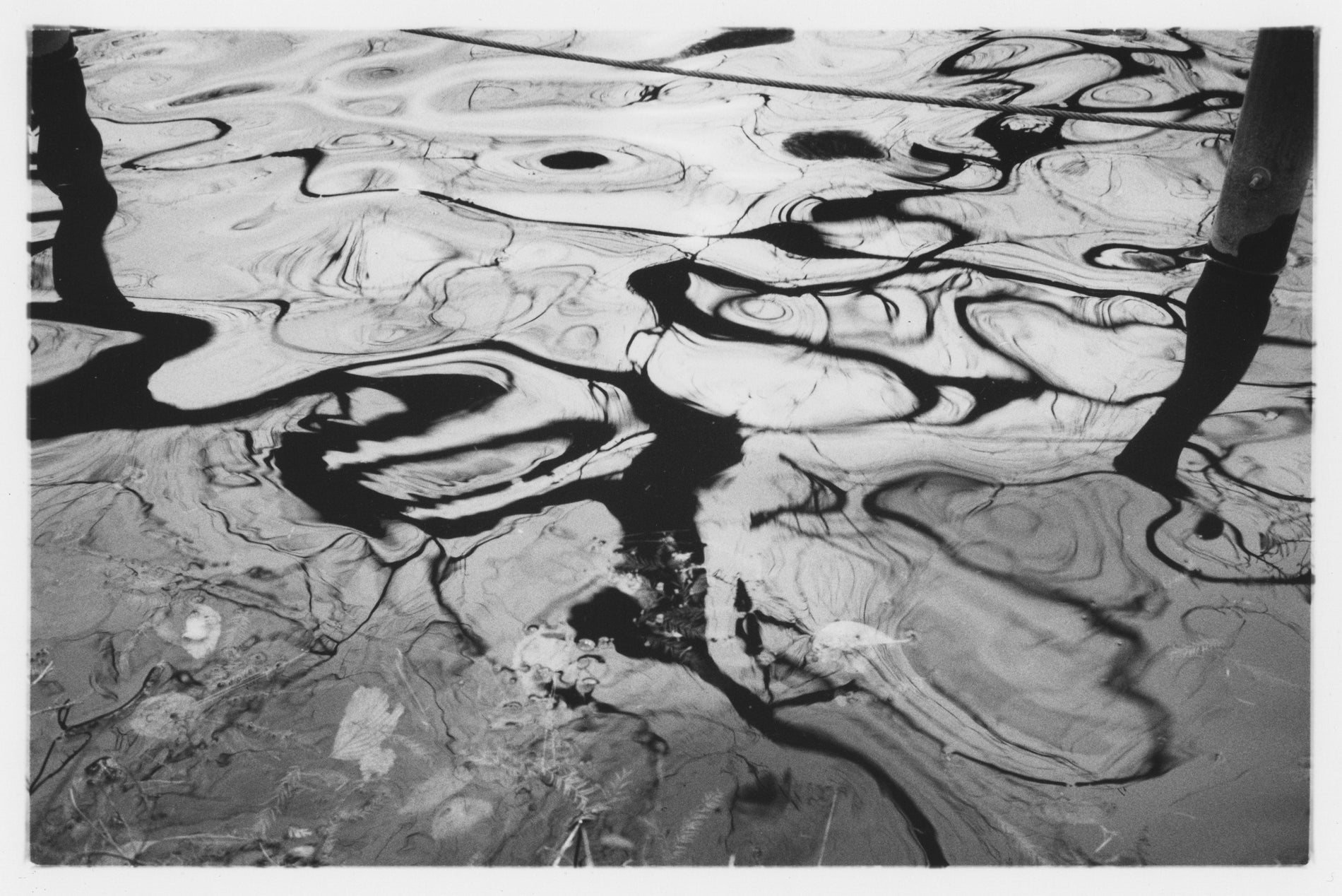 Mikio Hasui - whynot.tokyo