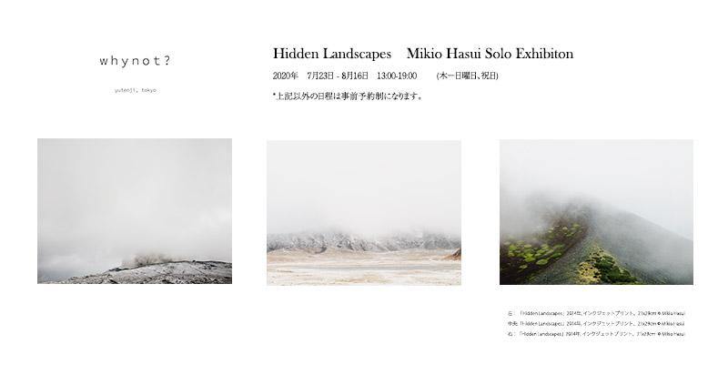Hidden Landscapes - whynot.tokyo
