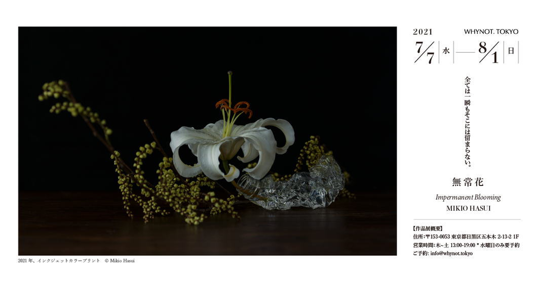蓮井幹生 写真展「無常花」開催のお知らせ
