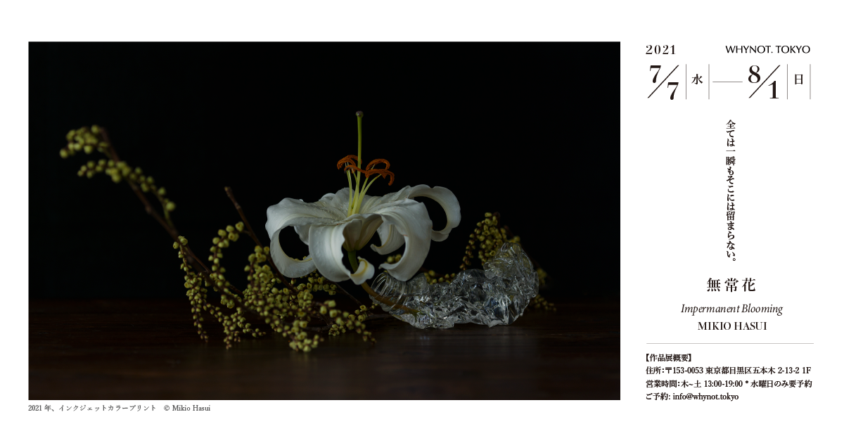 蓮井幹生 写真展「無常花」開催のお知らせ