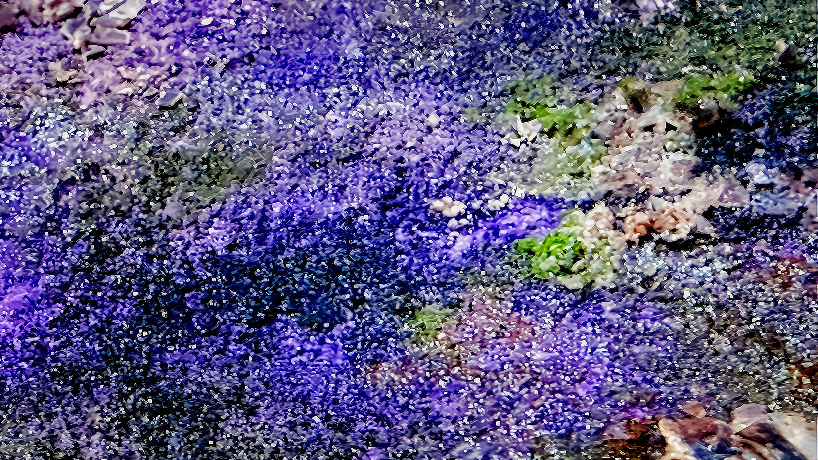 アーティスト・高屋永遠がCO₂を活用した新素材を用いて 新作【Morphology of Breath 呼吸の形態学】を発表