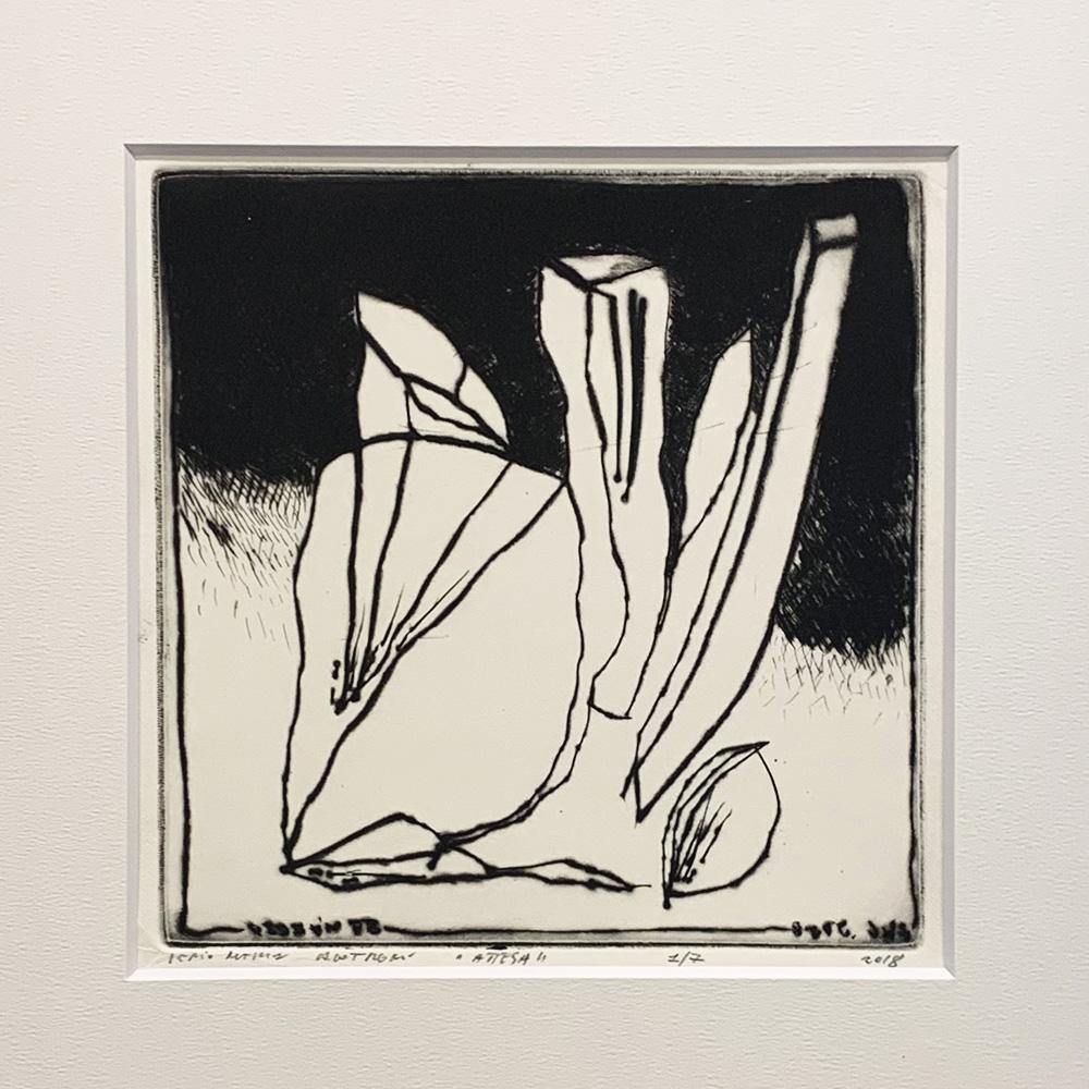 Sergio Maria Calatroni - whynot.tokyo